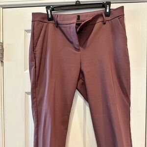 Express Columnist Ankle pant
